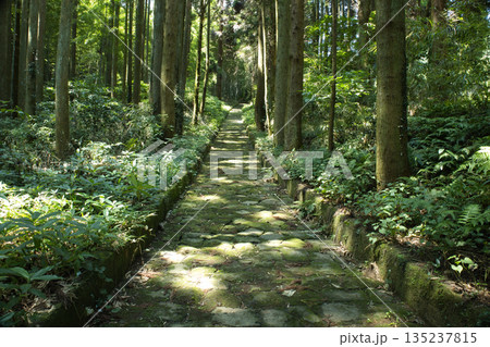 夏目漱石の作品「草枕」のモデルとなった、熊本市島崎から玉名郡天水町につながる当時の幹線道路 夏目漱石の作品「草枕」のモデルとなった、熊本市島崎から玉名郡天水町につながる当時の幹線道路 135237815