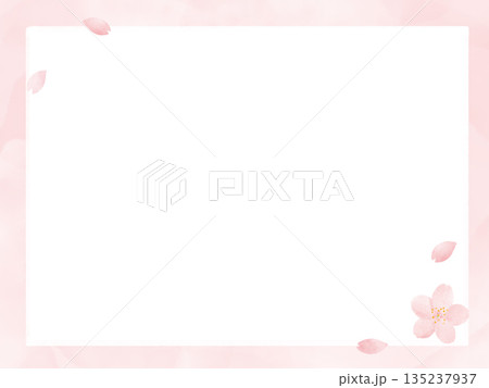桜の花びらと淡いピンクの水彩フレーム背景・春のコピースペース・横長・入学・卒業・お祝い 135237937