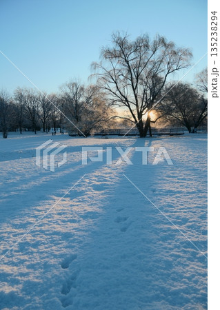 冬の早朝の公園の雪景色 冬の早朝の公園の雪景色 135238294