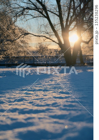 冬の早朝の公園の雪景色 135238296