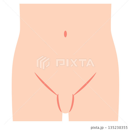 腹部　下腹部　鼠径部 135238355