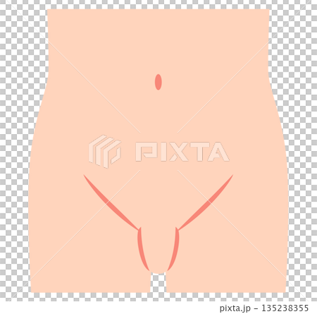 腹部　下腹部　鼠径部 135238355