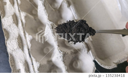 Planting seedlings in biodegradable paper pots made from recycled cardboard. 135238418