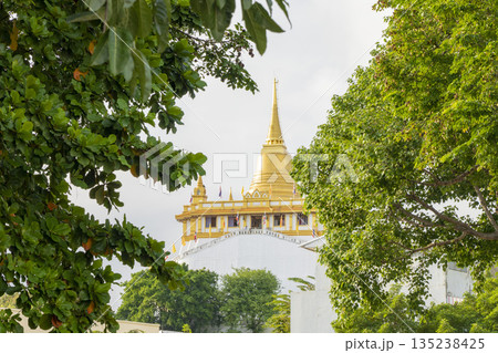 ワット・サケット 135238425