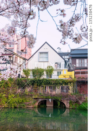 hotel with bear dolls and hot spring ryokan at spring, Ureshino 135238476