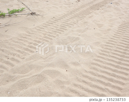 琴引浜の風景 202206 (21) 琴引浜の風景 202206 (21) 135238733