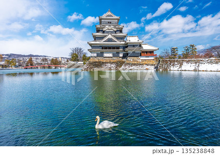 松本城 白鳥 冬景色 【長野県松本市】 松本城 白鳥 冬景色 【長野県松本市】 135238848
