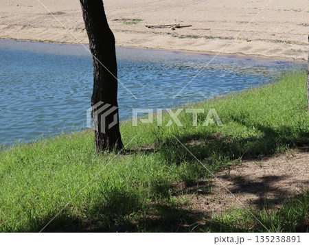 高砂海浜公園20220904 (24) 135238891