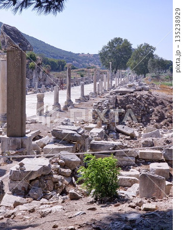 Ancient Ephesus, ruins in Turkey, ruins of the Ancient Roman and Ancient Greek empires, Selcuk, Izmir province 135238929