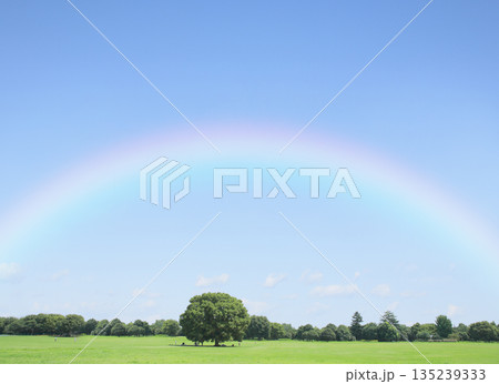 青空と草原にかかる虹 希望・未来・ボジティブイメージ 青空と草原にかかる虹 希望・未来・ボジティブイメージ 135239333