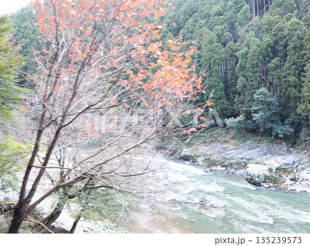 保津川 2021年10月 (5) 保津川 2021年10月 (5) 135239573