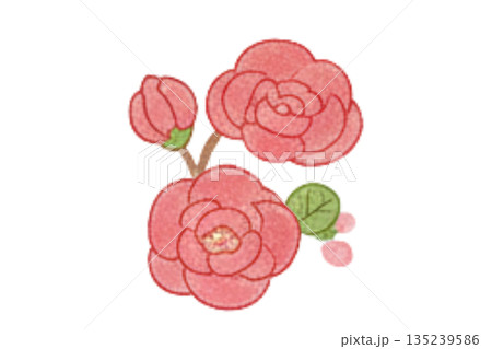 水彩で描いたピンクの椿のイラスト 135239586