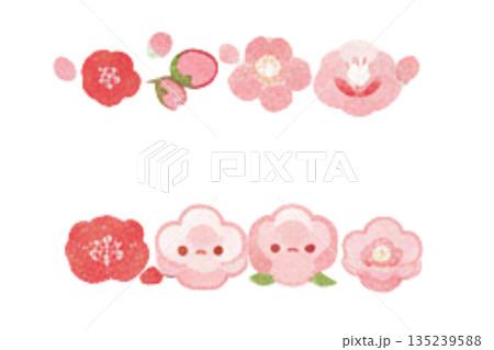 赤い梅の花のイラスト 赤い梅の花のイラスト 135239588