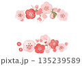 水彩で描いた梅の花のイラスト 135239589