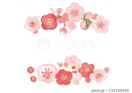 水彩で描いた梅の花のイラスト 水彩で描いた梅の花のイラスト 135239589