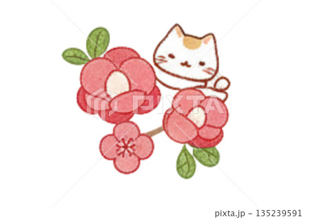 梅の花と梅と筆文字の手描きの和風イラスト 135239591