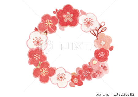 赤い梅の花のイラスト 135239592