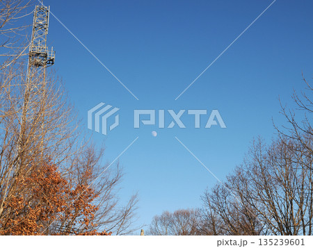 青空と昼間の月 青空と昼間の月 135239601