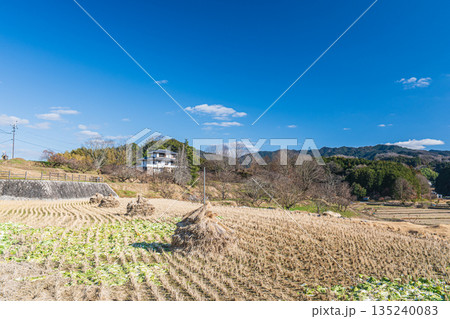 冬の明日香村田園風景 奈良県明日香村 冬の明日香村田園風景 奈良県明日香村 135240083