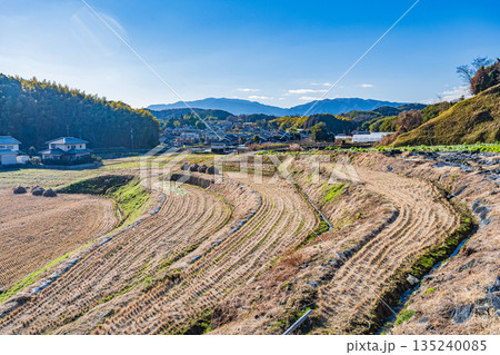 冬の明日香村田園風景　奈良県明日香村 135240085