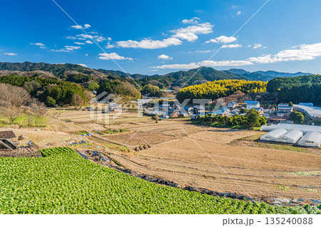 冬の明日香村田園風景 奈良県明日香村 冬の明日香村田園風景 奈良県明日香村 135240088