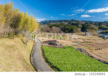 冬の明日香村田園風景　奈良県明日香村 135240091