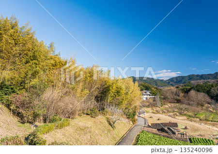 冬の明日香村田園風景　奈良県明日香村 135240096