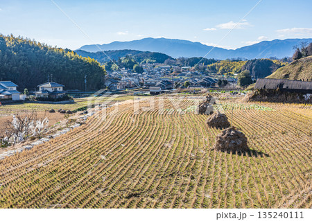 冬の明日香村田園風景　奈良県明日香村 135240111
