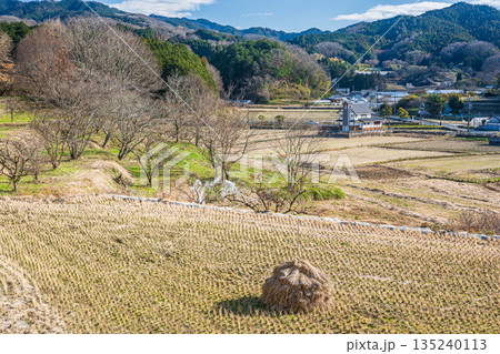 冬の明日香村田園風景 奈良県明日香村 冬の明日香村田園風景 奈良県明日香村 135240113