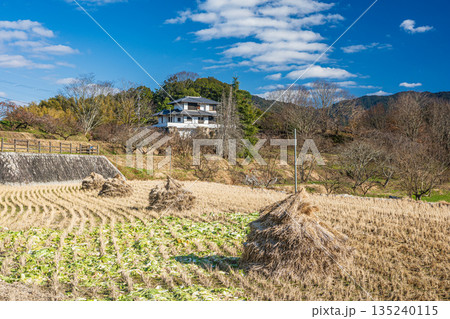 冬の明日香村田園風景 奈良県明日香村 冬の明日香村田園風景 奈良県明日香村 135240115
