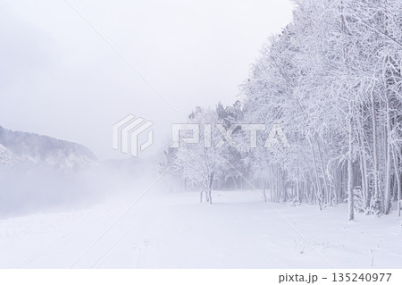 Snow-covered landscape with trees and fog in a quiet winter setting during early morning hours. High quality photo 135240977