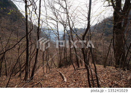 両神山登山、埼玉県 両神山登山、埼玉県 135241029