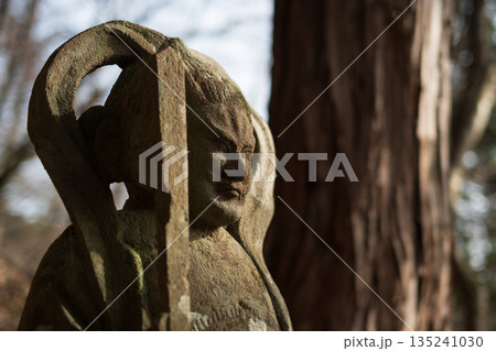 両神山登山、埼玉県 135241030