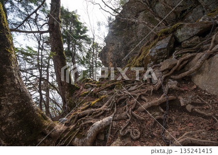 両神山登山、埼玉県 135241415