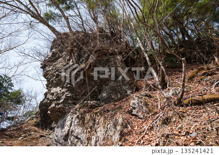 両神山登山、埼玉県 両神山登山、埼玉県 135241421