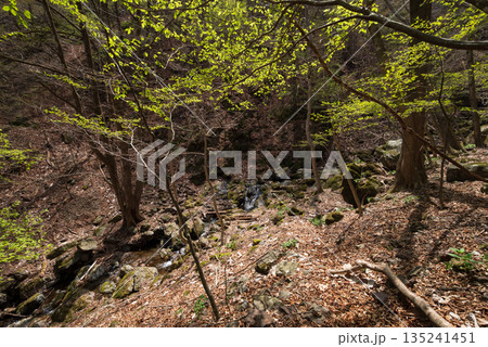 両神山登山、埼玉県 135241451