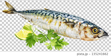 Mackerel Grill 135241662