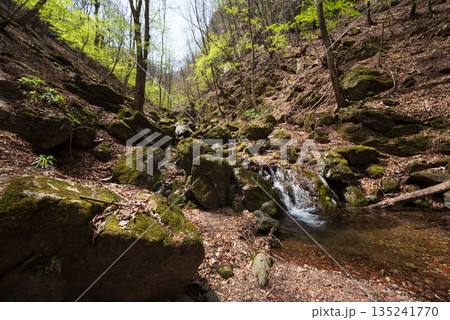 両神山登山、埼玉県 135241770