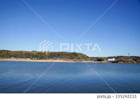 川岸の風景 川岸の風景 135242213