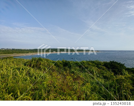 高台から望む静かな海岸 高台から望む静かな海岸 135243018
