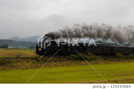 霧の山並みに響く蒸気機関車の鼓動 135243064