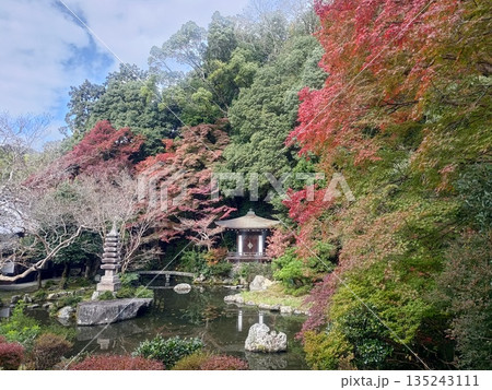 紅葉と緑が彩る静寂の庭園 紅葉と緑が彩る静寂の庭園 135243111