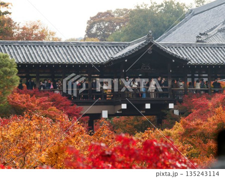 紅葉に包まれた通天橋と寺院の秋景 紅葉に包まれた通天橋と寺院の秋景 135243114