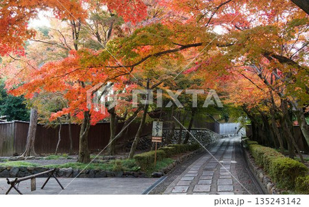 紅葉に彩られた石畳の参道 135243142