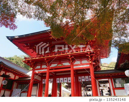 文化と季節が織りなす神域の風景 135243148