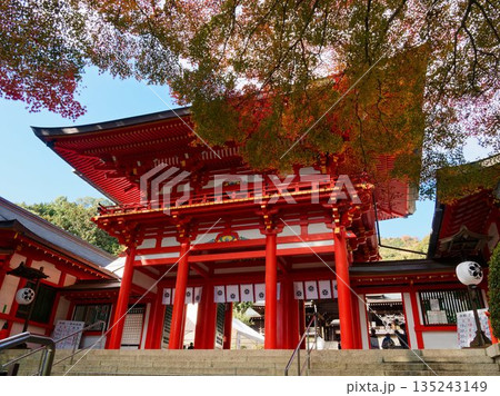 文化と季節が織りなす神域の風景 135243149