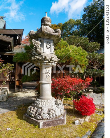 紅葉に包まれた献燈の石灯籠 紅葉に包まれた献燈の石灯籠 135243153