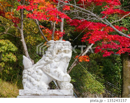 守護の像と季節が響き合う庭園 135243157