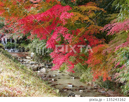 水音が響く紅葉の庭園 135243162