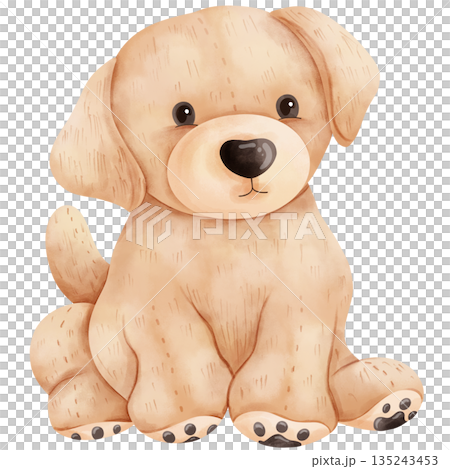 Cute Baby Golden Retriever Puppy Watercolor Illustration 135243453